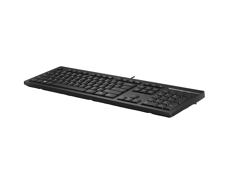 HP 125 Wired Keyboard - Image 2